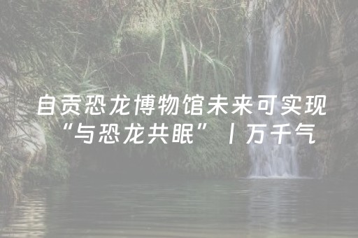 终于发现了“手机十三张辅助器”（详细透视教程）-哔哩哔哩