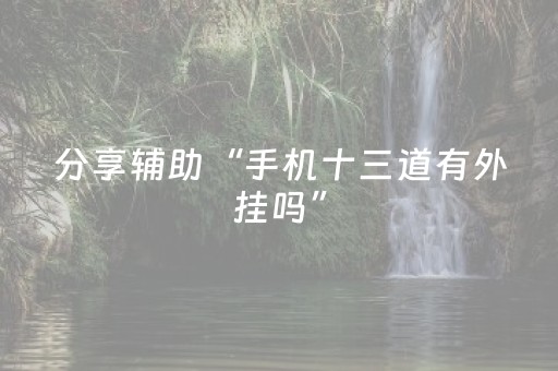 分享辅助“手机十三道有外挂吗”（详细透视教程）-哔哩哔哩