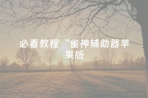 必看教程“雀神辅助器苹果版（专用辅牌神器免安装）