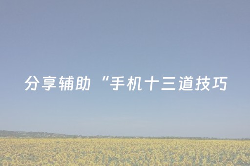 分享辅助“手机十三道技巧（专用辅牌神器免安装）