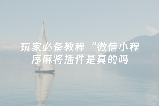玩家必看教程！“微乐广东麻将如何赢的秘诀”（详细开挂教程）-哔哩哔哩