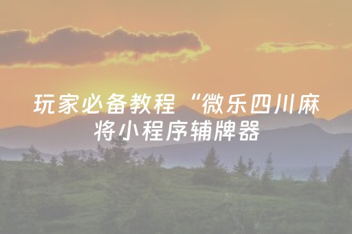 玩家必备教程“微乐四川麻将小程序辅牌器（专用辅牌神器免安装）