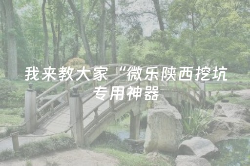 我来教大家“微乐陕西挖坑专用神器（专用辅牌神器免安装）