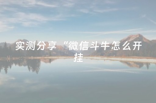 实测分享“微信斗牛怎么开挂（专用辅牌神器免安装）
