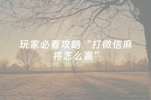 2分钟秒懂！“财神十三张有挂吗”（详细辅助教程）-哔哩哔哩