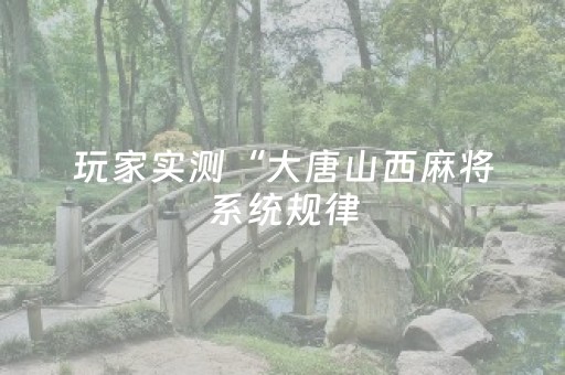 今日盘点“雀神广东麻将神器软件先用后付”（详细透视教程）-哔哩哔哩
