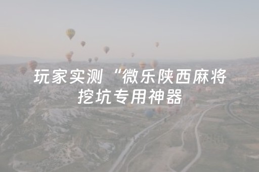 玩家实测“微乐陕西麻将挖坑专用神器（专用辅牌神器免安装）