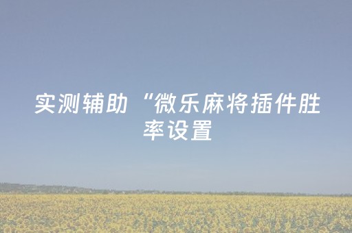 实测辅助“微乐麻将插件胜率设置（助赢神器通用版）