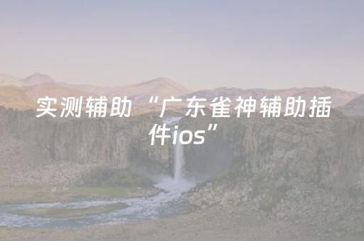 实测辅助“广东雀神辅助插件ios”（详细透视教程）-哔哩哔哩
