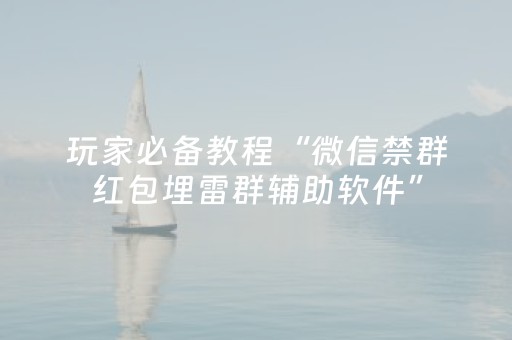 玩家必备教程“微信禁群红包埋雷群辅助软件”（详细透视教程）-哔哩哔哩