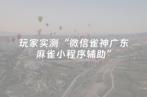玩家实测“微信雀神广东麻雀小程序辅助”（详细透视教程）-哔哩哔哩