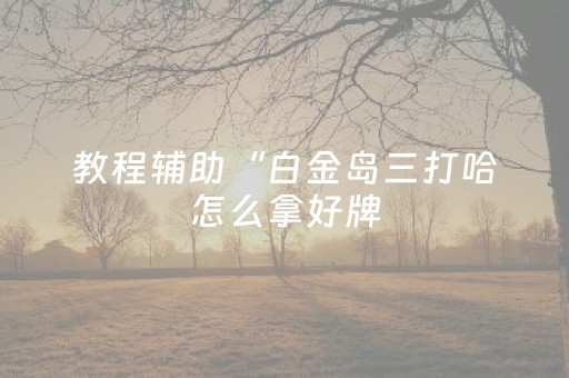 教程辅助“白金岛三打哈怎么拿好牌（专用辅牌神器免安装）