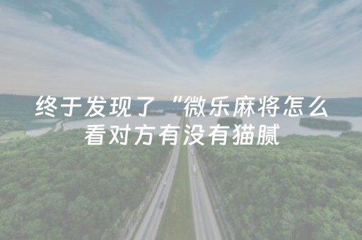 终于发现了“微乐麻将怎么看对方有没有猫腻（助赢神器通用版）