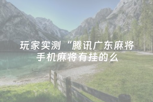 玩家实测“腾讯广东麻将手机麻将有挂的么（专用辅牌神器免安装）