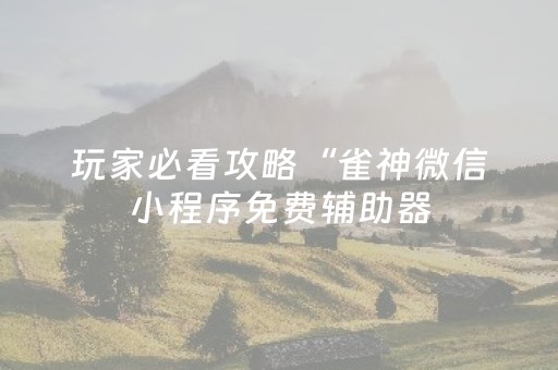 玩家必看攻略“雀神微信小程序免费辅助器（专用辅牌神器免安装）