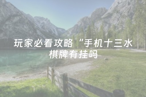玩家必看攻略“手机十三水棋牌有挂吗（专用辅牌神器免安装）