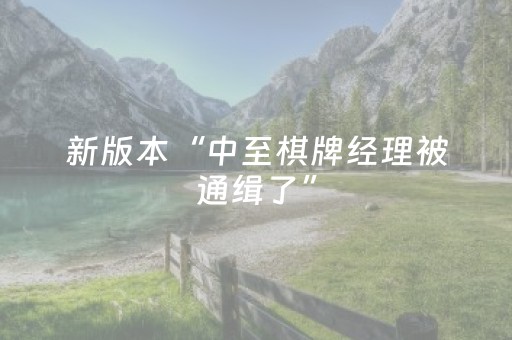 新版本“中至棋牌经理被通缉了”（详细透视教程）-哔哩哔哩