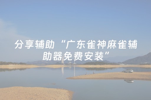 分享辅助“广东雀神麻雀辅助器免费安装”（详细透视教程）-哔哩哔哩