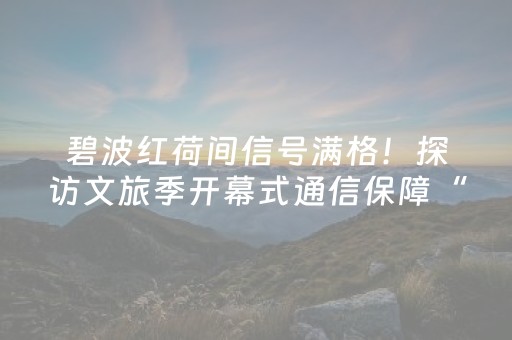 实测分析“手机金花辅助器是真的吗”（详细透视教程）-哔哩哔哩
