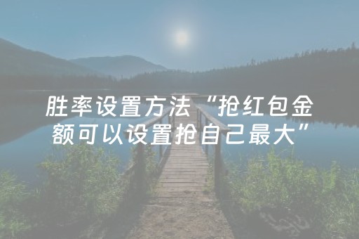 新版本“微乐湖南麻将挂件神器通用”（详细透视教程）-哔哩哔哩