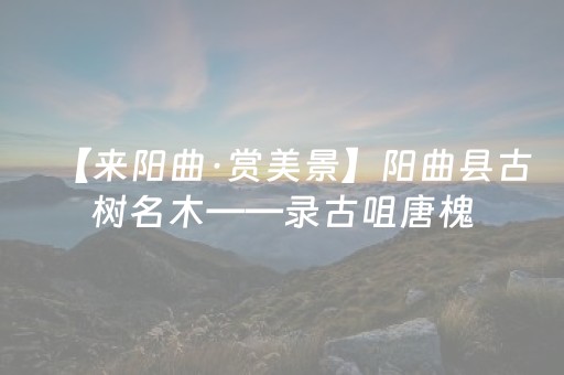 今日实测“白金岛长沙麻将有挂吗”（详细辅助教程）-哔哩哔哩