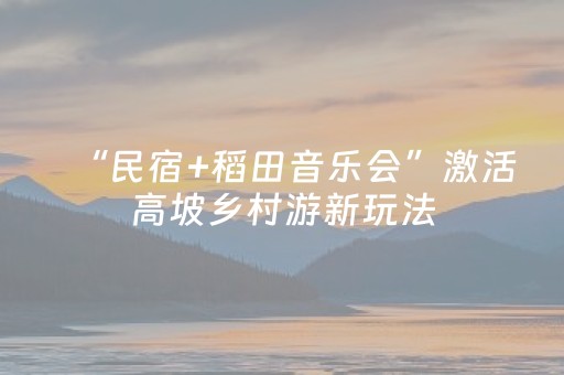 2分钟秒懂！“手机跑得快黑科技软件”（详细辅助教程）-哔哩哔哩