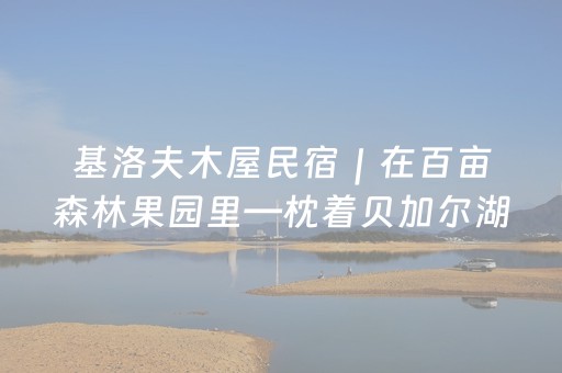 今日实测“广东雀神插件安装包”（详细透视教程）-哔哩哔哩