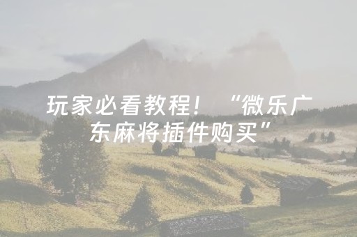 2分钟秒懂！“小程序跑得快怎么拿好牌”（详细透视教程）-哔哩哔哩