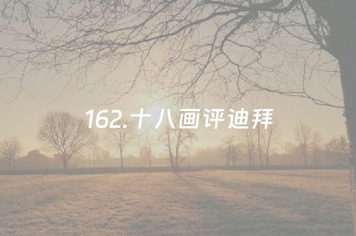 162.十八画评迪拜