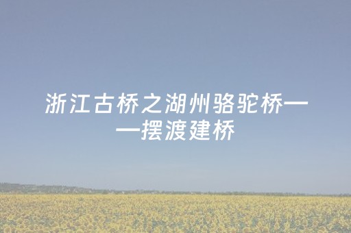 天津市静海区：赏运河古韵 品文旅新潮