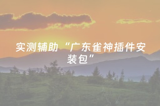 实测辅助“广东雀神插件安装包”（详细透视教程）-哔哩哔哩