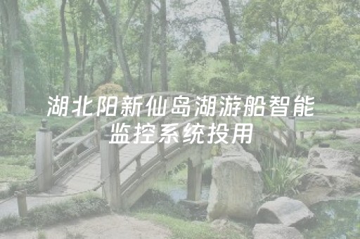 湖北阳新仙岛湖游船智能监控系统投用