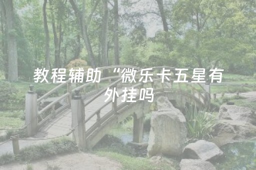 教程辅助“微乐卡五星有外挂吗（助赢神器通用版）