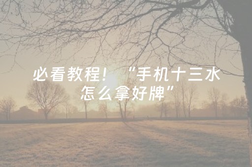 必看教程！“手机十三水怎么拿好牌”（详细辅助教程）-哔哩哔哩