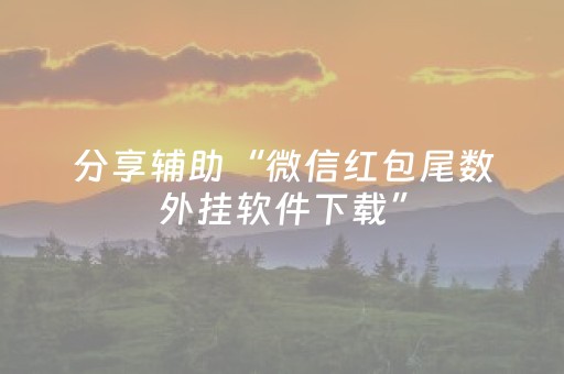 必看教程“控制微信红包尾数0至9扫雷埋雷辅助软件”（详细透视教程）-哔哩哔哩