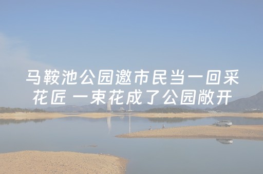 实测分析“决胜麻将插件购买”（详细开挂教程）-哔哩哔哩