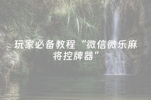 玩家必备教程“微信微乐麻将控牌器”（详细透视教程）-哔哩哔哩
