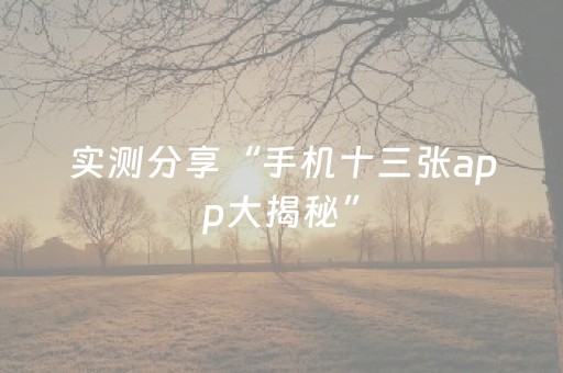 今日实测“雀神广东麻将助赢神器”（详细开挂教程）-哔哩哔哩