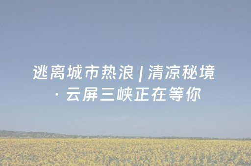 实测分享“微乐陕西挖坑专用神器”（详细透视教程）-哔哩哔哩