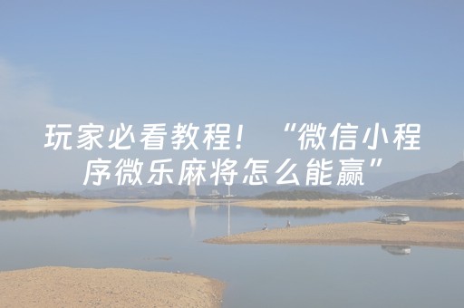玩家必看教程！“微信小程序微乐麻将怎么能赢”（详细辅助教程）-哔哩哔哩