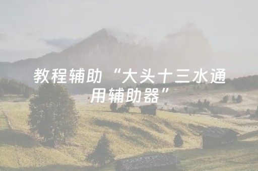 教程辅助“大头十三水通用辅助器”（详细透视教程）-哔哩哔哩