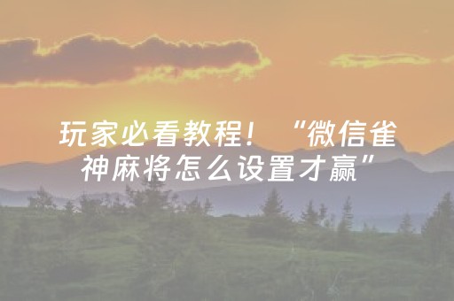 玩家必看教程！“微信雀神麻将怎么设置才赢”（详细辅助教程）-哔哩哔哩