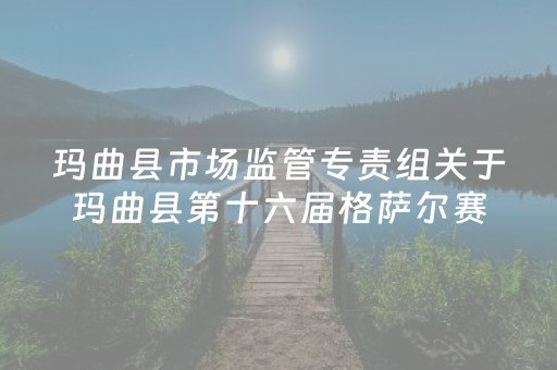 玛曲县市场监管专责组关于玛曲县第十六届格萨尔赛马会期间禁止安装不合格大型游乐设施的通告