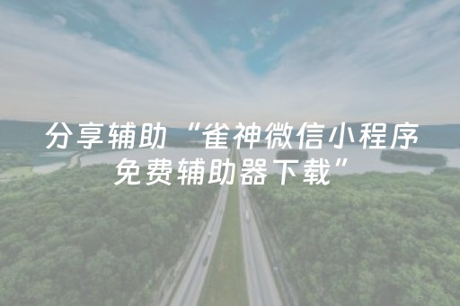 分享辅助“雀神微信小程序免费辅助器下载”（详细透视教程）-哔哩哔哩