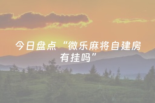 玩家实测“微友红包扫雷有没有挂”（详细透视教程）-哔哩哔哩