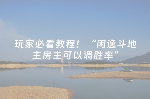 必看教程！“小程序麻将插件”（详细辅助教程）-哔哩哔哩