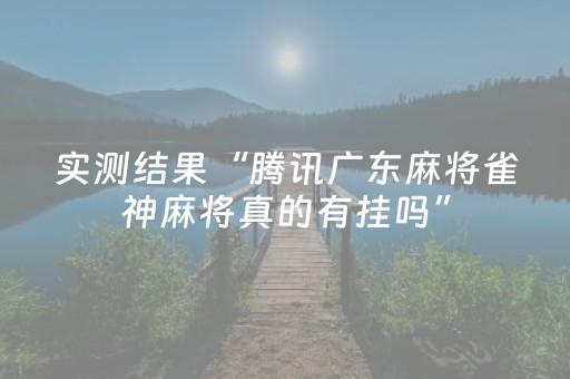 2分钟秒懂！“吉祥麻将填大坑插件”（详细辅助教程）-哔哩哔哩