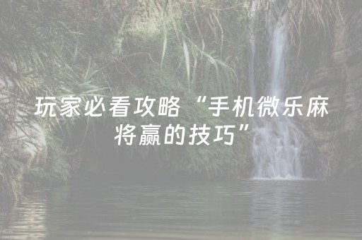 玩家必看攻略“手机微乐麻将赢的技巧”（详细透视教程）-哔哩哔哩