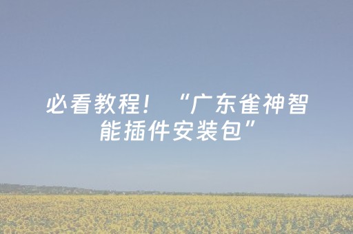 必看教程！“广东雀神智能插件安装包”（详细辅助教程）-哔哩哔哩