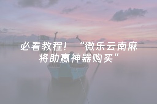 必看教程！“微乐云南麻将助赢神器购买”（详细透视教程）-哔哩哔哩